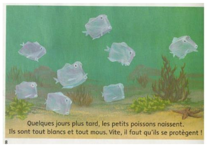 poisson carré