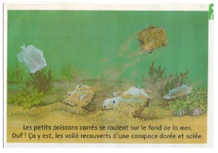 poisson carré