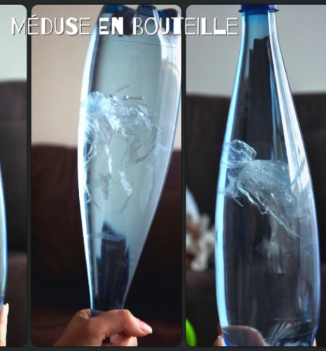 méduse en bouteille 